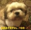 debbie_21967